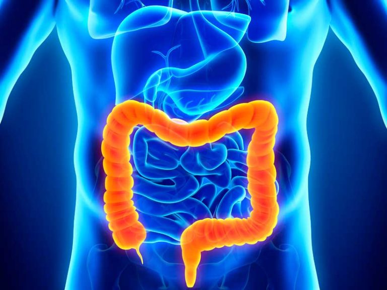 Qué le pasa a tu cuerpo si te excedes con la fructosa