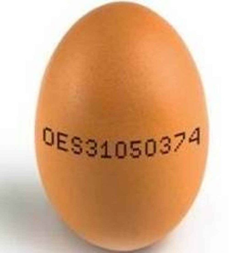 Qué significan los números de los huevos