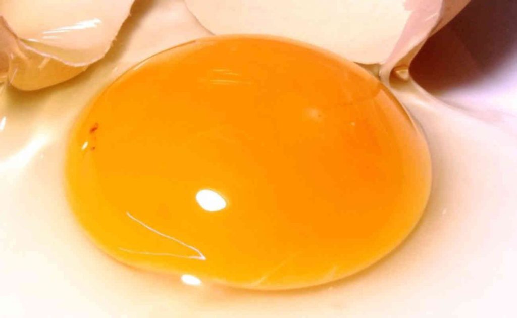 No son perjudiciales para la salud