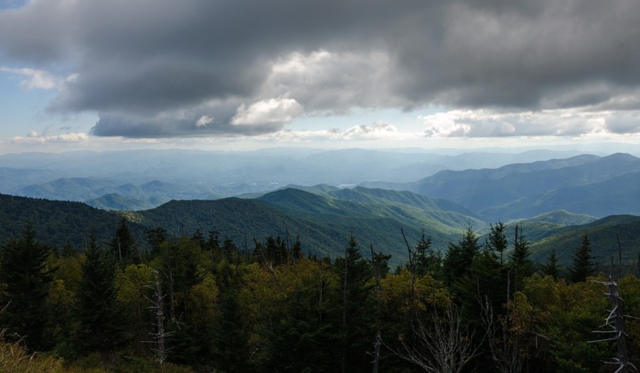 Tipos de reserva natural