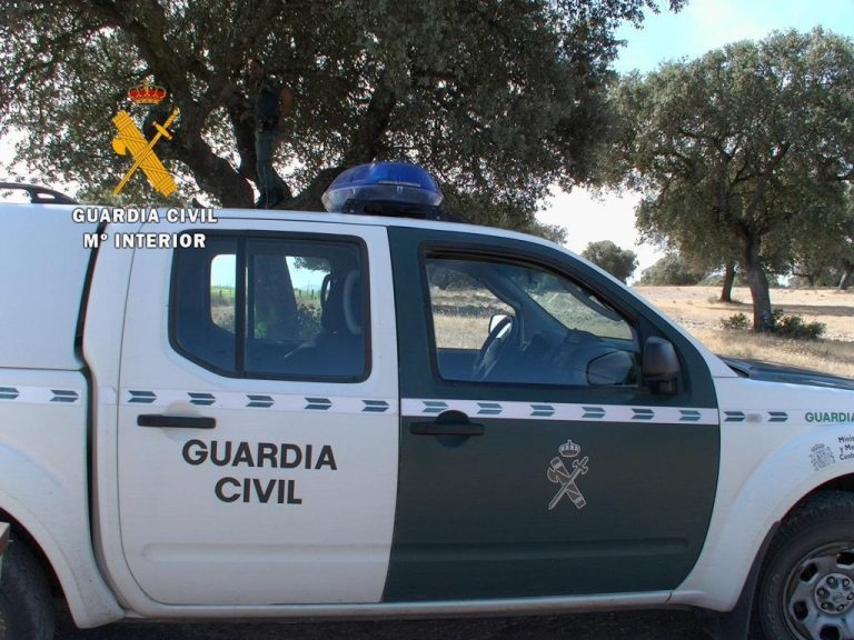 Un detenido en Navalvillar de Ibor por matar a un perro con una escopeta sin licencia