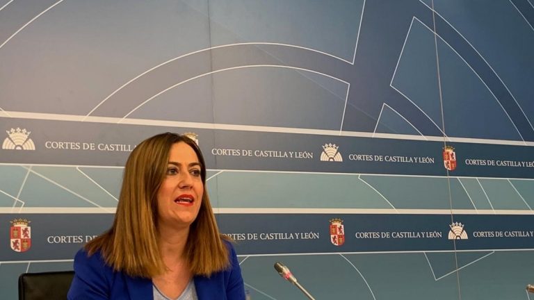 PSOE Castilla y León pide a los diputados de Cs que apoyen su moción de censura