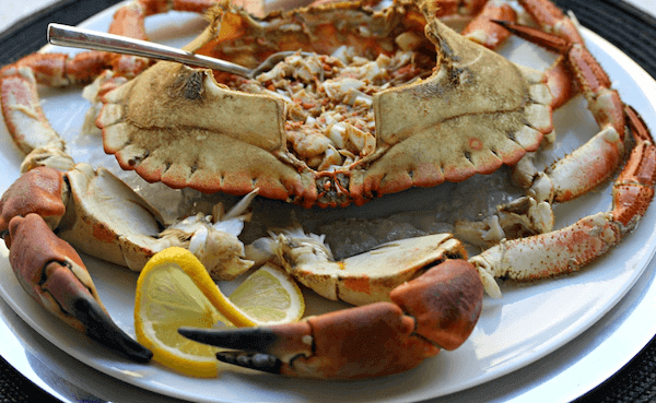 Las claves para cocer y preparar un buey de mar exquisito 31 Preparado para la olla