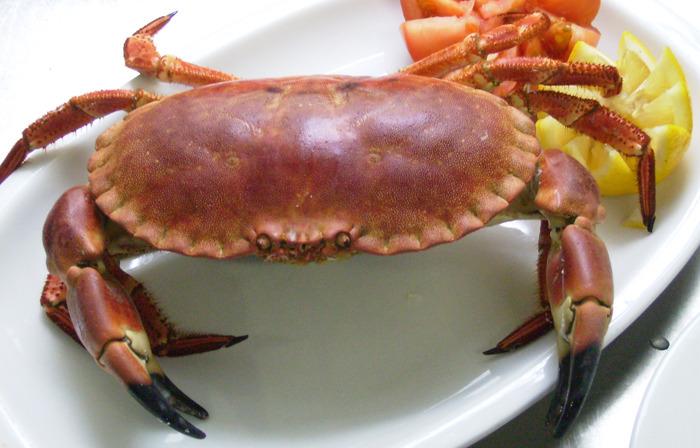 Las claves para cocer y preparar un buey de mar exquisito 30 Puntos a tener en cuenta en la preparación del buey de mar