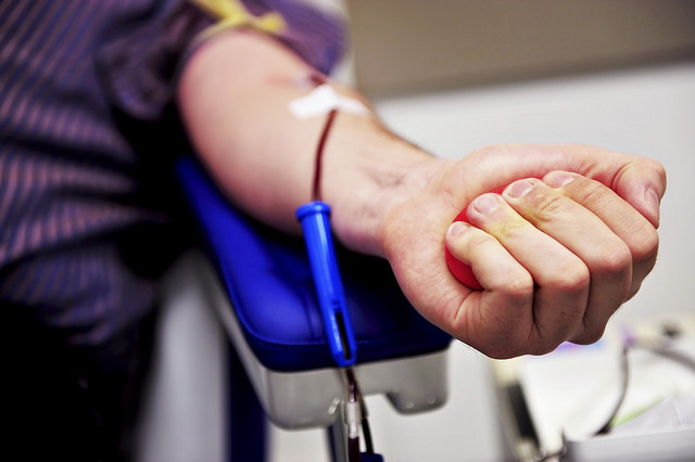 Donador de médula ósea un proceso de compatibilidad 