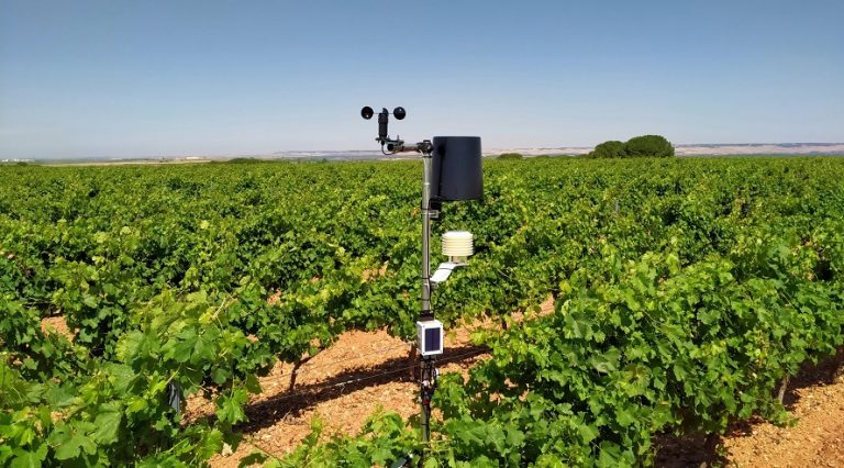 Viñedos controlados a golpe de clic: la DO Rueda se pasa al Agro 4.0