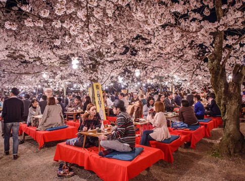 flores-primavera Rituales de primavera para atraer la buena suerte