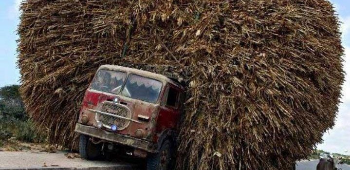 Estas fotos que desafían las leyes de la física