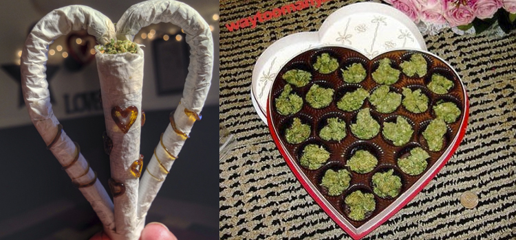 Así te afecta la primavera. Las horteradas que haces cuando te enamoras