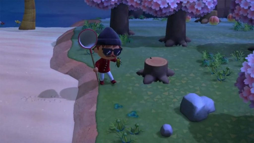 Animal Crossing: Estos son los peces y bichos que puedes cazar en abril 30 pez