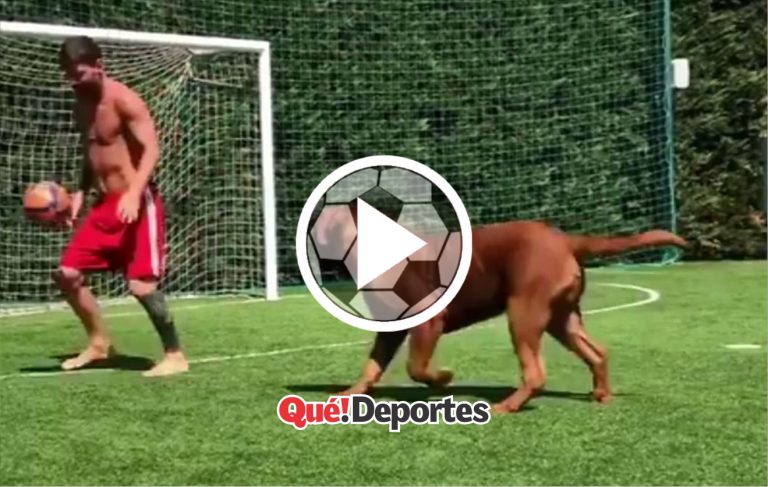 ¡Solo le faltaba el perro!