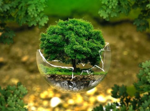 naturaleza productos ecológicos