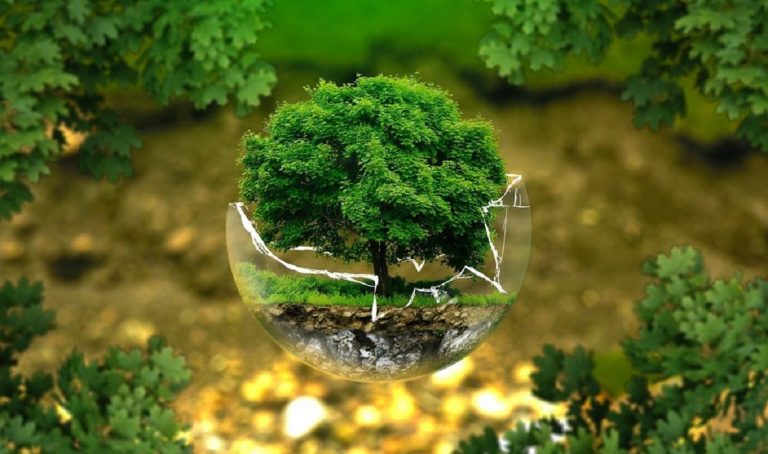 Del cuerpo al planeta: beneficios de consumir productos ecológicos