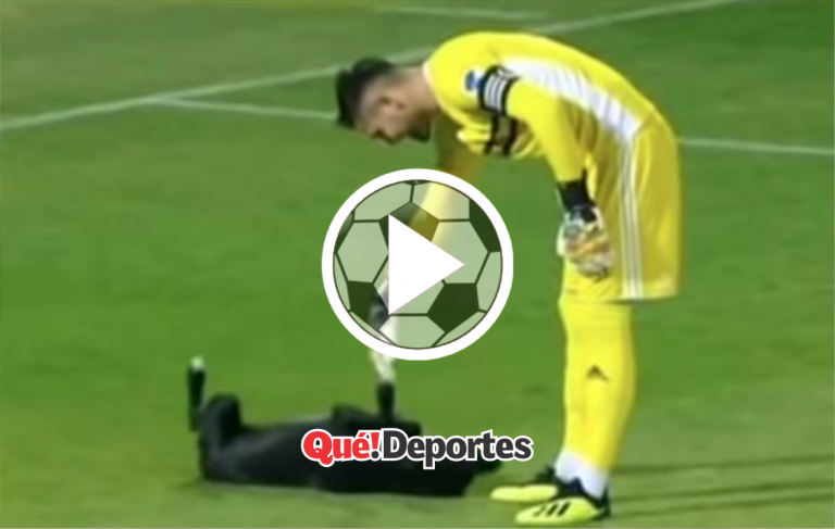 Cuando Dios se convierte en perro ¡Y te salva la vida!