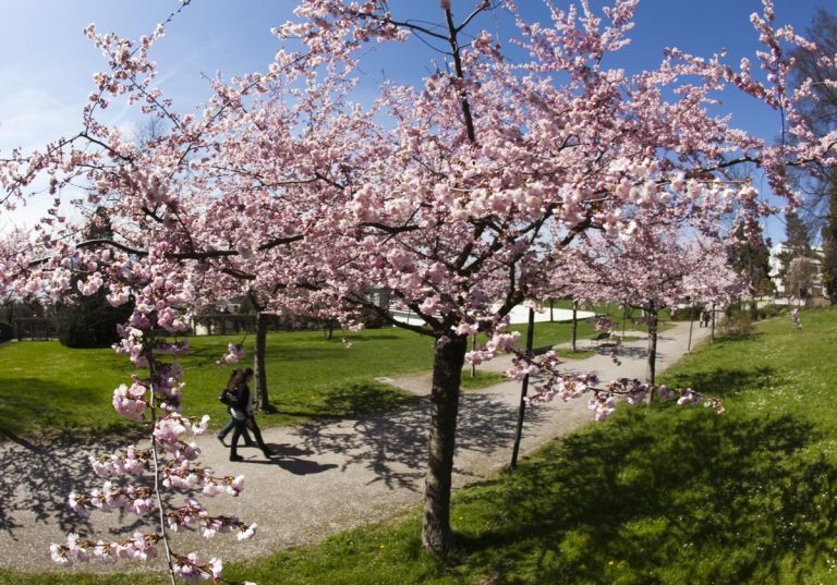 La recién estrenada primavera tendrá una duración de 92 días y 18 horas