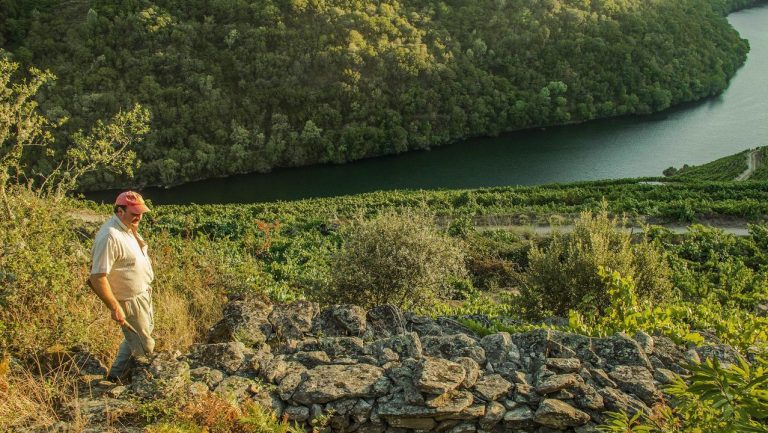 Un estudio data en el siglo X las primeras terrazas de la Ribeira Sacra