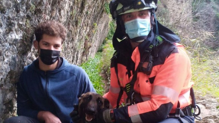 Bomberos de Málaga rescatan a un perro tras caer 20 metros por el Tajo de Ronda