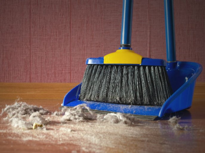 La limpieza es el mejor remedio para el polvo 