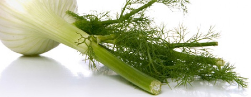 11 alimentos que aumentan el pecho de forma natural