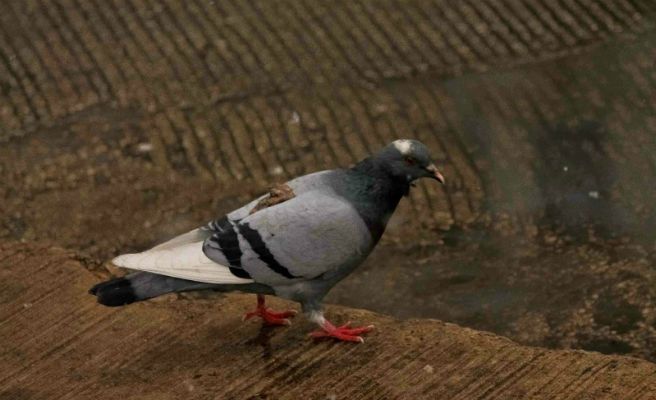 12 Imágenes que demuestran que el karma existe