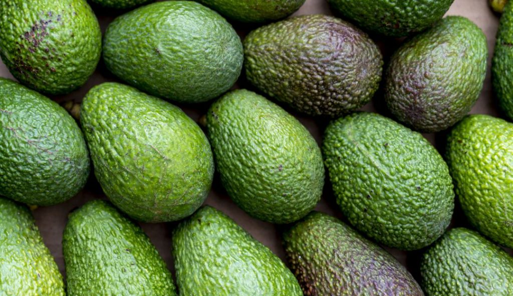 Cómo conservar un aguacate abierto y que no se oxide 43 Beneficios del aguacate