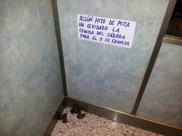 16 personas que acabaron hartas de sus vecinos 10