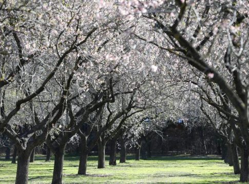 Disfruta una noche (o más) en una de las cabañas de España