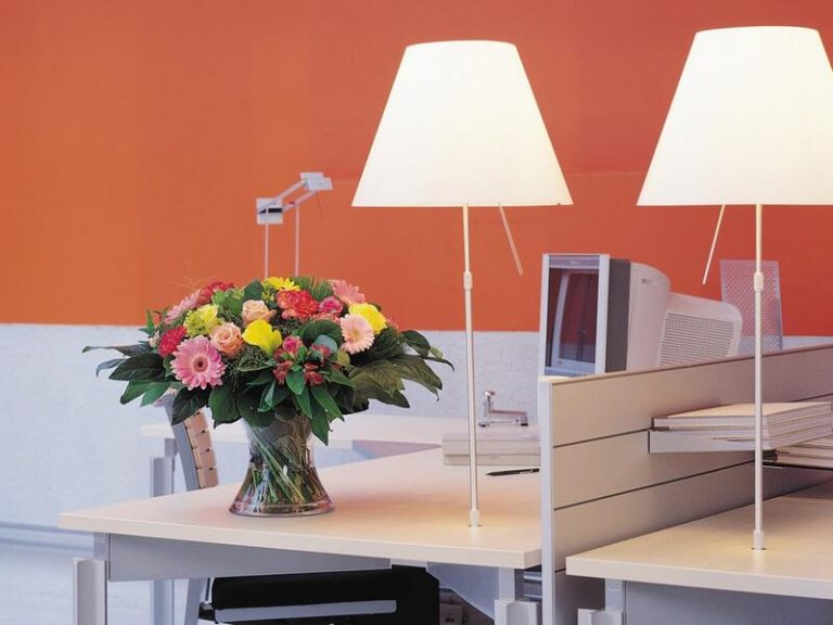 'Flower power': Por qué las flores son tus grandes aliadas contra el estrés o la tristeza