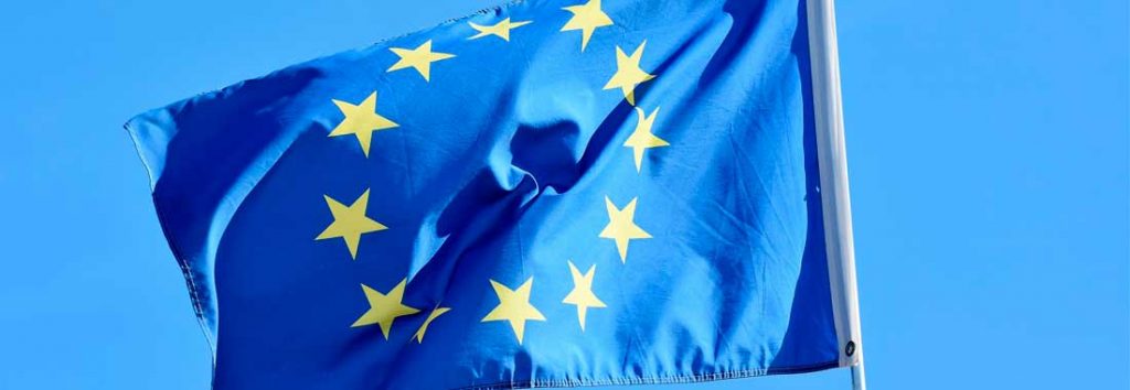 Contenido paso a paso