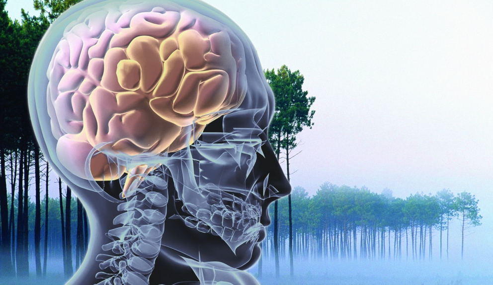 10 acertijos de entrevistas de trabajo de grandes empresas del mundo