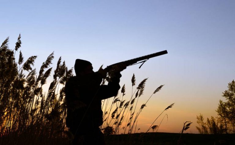 Cómo renovar la licencia de caza por Internet