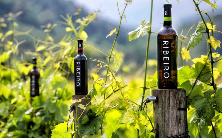 Juzgado da la razón a pequeñas bodegas contra el Consejo de DO Ribeiro
