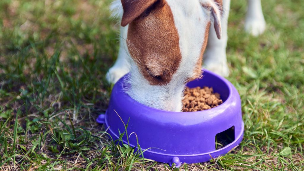 El análisis de la OCU