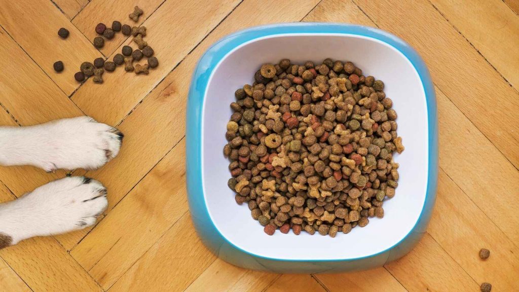 El escenario actual con el pienso de perro