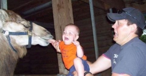 Imágenes que demuestran que no tienes instinto paternal