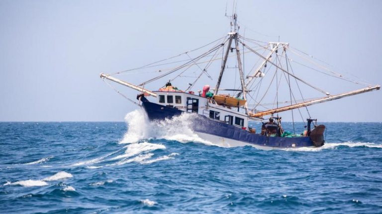 La Justicia europea avala la prohibición de la pesca eléctrica en la UE