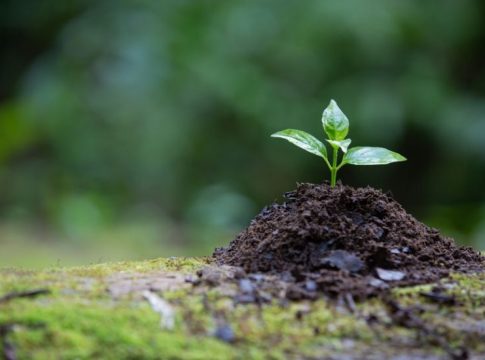 Ley del Cambio Climático