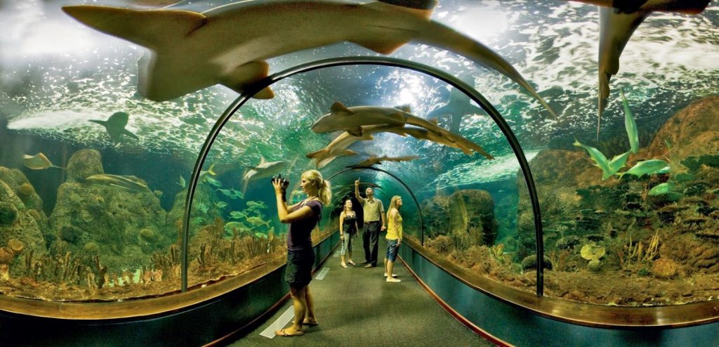 Loro Parque, Tenerife