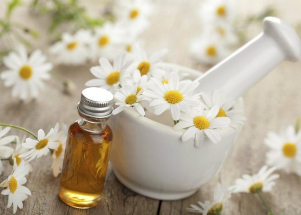 ¿De dónde es originaria la manzanilla y donde se encuentra?