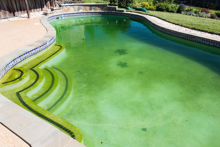 Cómo limpiar una piscina con el agua verde