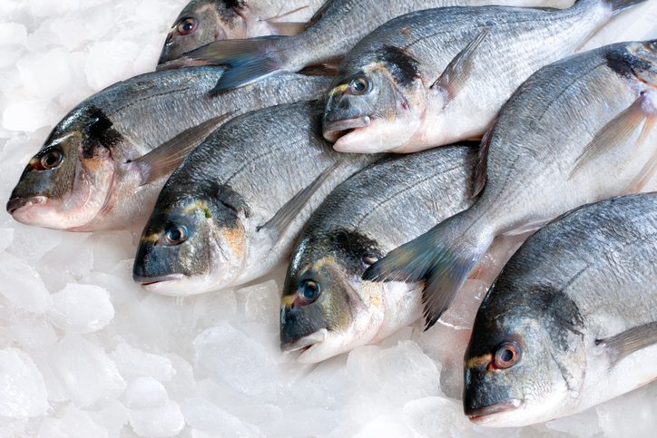 pescado