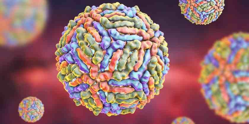 Quién se contagia de VNO