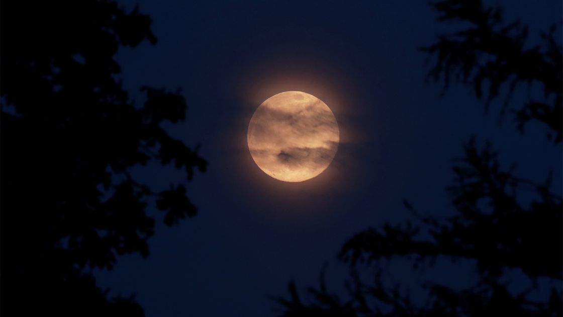 Qué es la superluna rosa 2 Qué es la superluna rosa