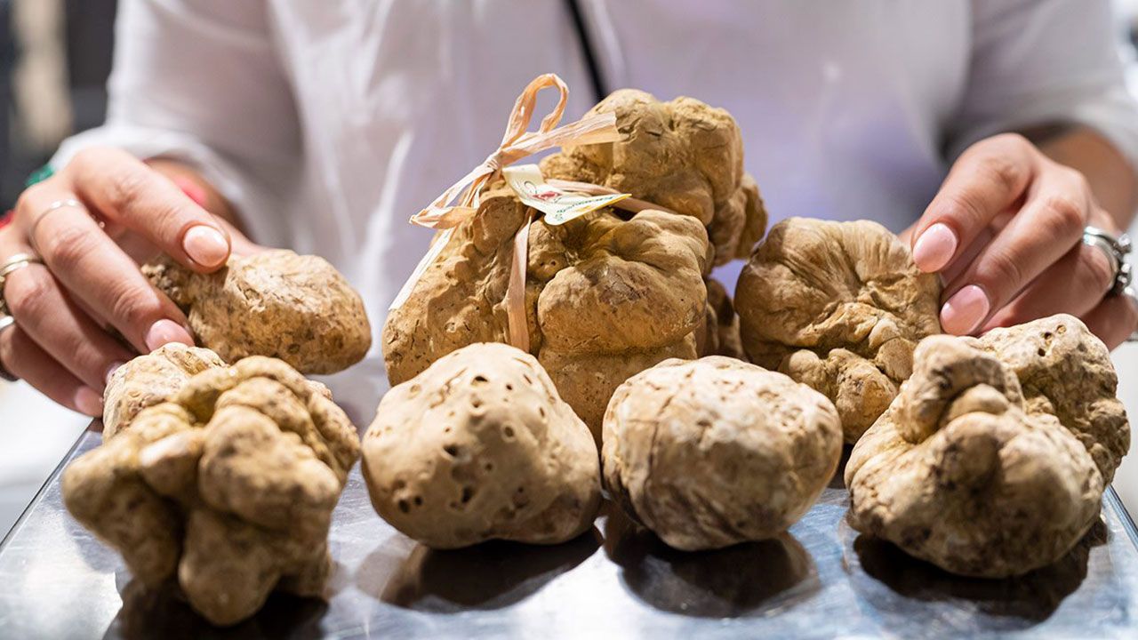 Qué es la trufa blanca