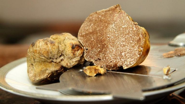 Qué es la trufa blanca