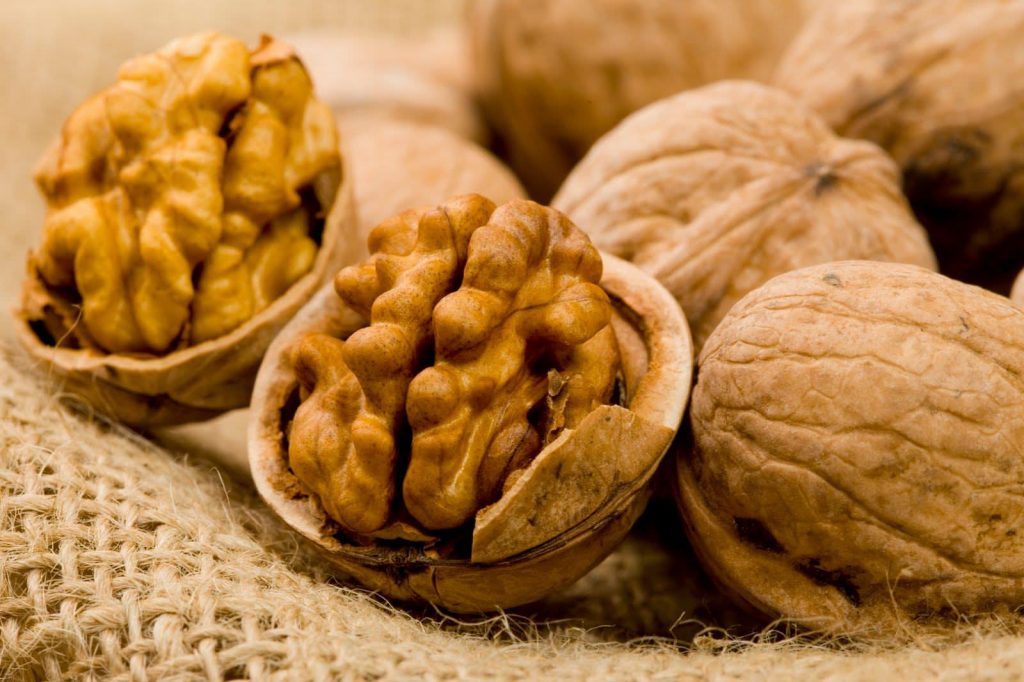 Por qué deberías comer a diario 5 nueces de macadamia 42 Un mundo desconocido con las nueces de macadamia