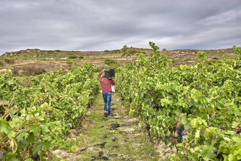 García Carrión se reivindica como denunciante de las irregularidades en la DOP de Valdepeñas