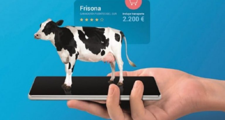 VayaVaca: de la subasta online de los 'ferraris' del ganado al e-commerce agrícola