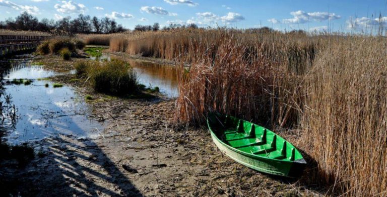 WWF pide reducir extracción de agua y recuperar el acuífero que alimenta Las Tablas