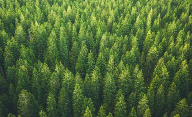 CaixaBank se adhiere como miembro fundador a Net Zero Banking Alliance (NZBA), iniciativa que promueve las cero emisiones netas en 2050